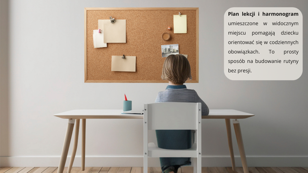 Plan lekcji i harmonogram umieszczone w widocznym miejscu
